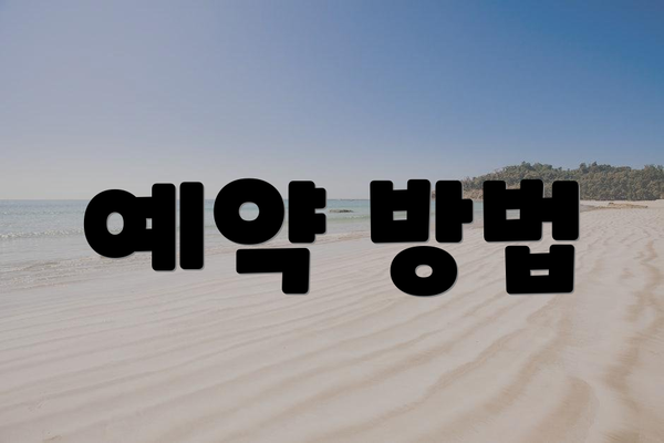 예약 방법