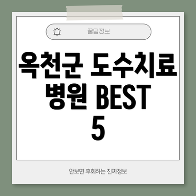 옥천군 도수치료 병원 BEST 5