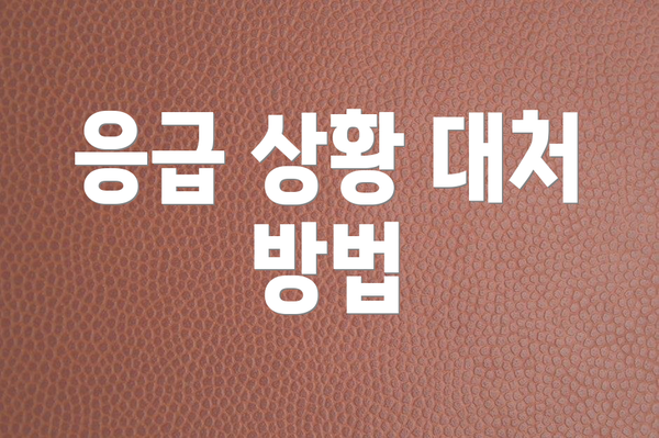 응급 상황 대처 방법