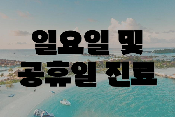 일요일 및 공휴일 진료