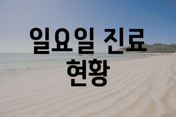 일요일 진료 현황