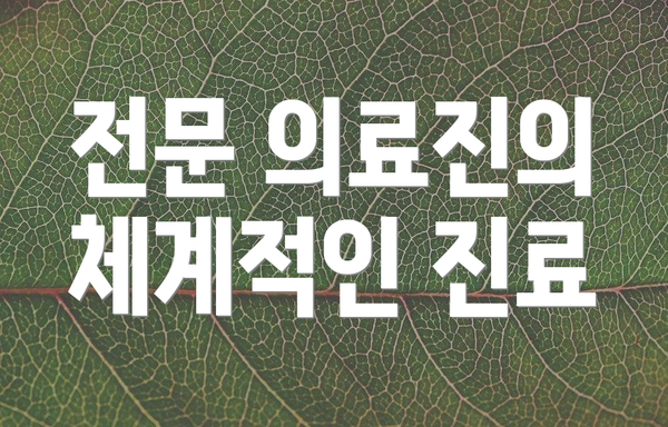 전문 의료진의 체계적인 진료