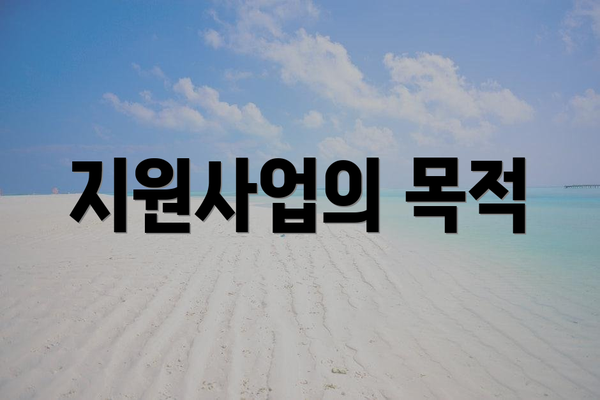 지원사업의 목적