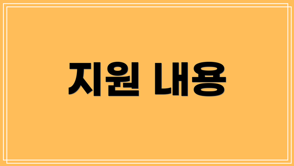 지원 내용