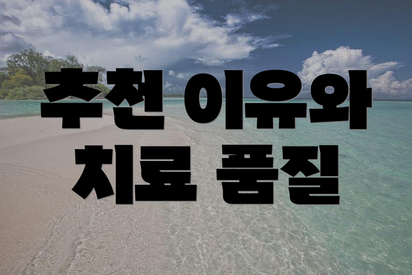 추천 이유와 치료 품질