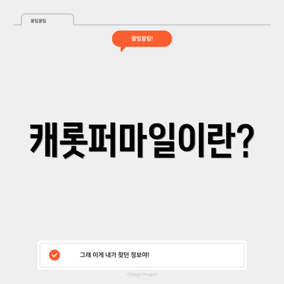 캐롯퍼마일이란?