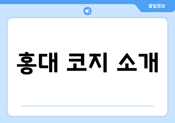홍대 코지 소개