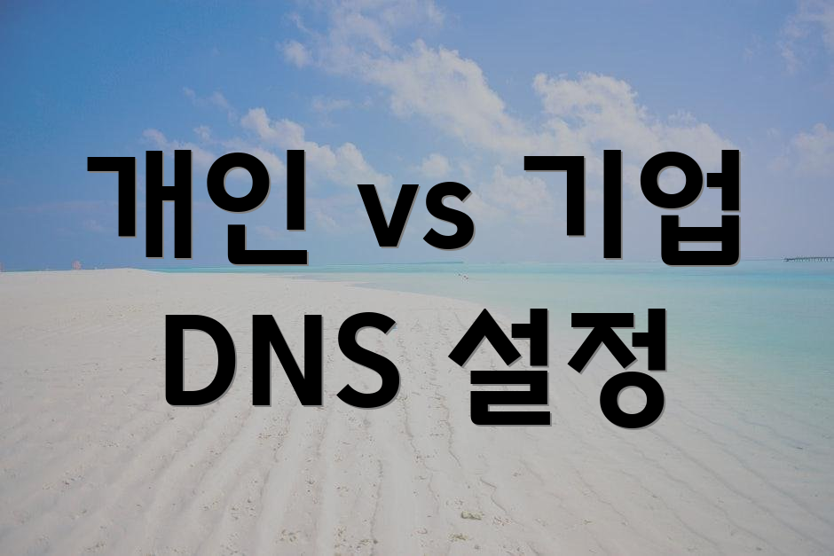 개인 vs 기업 DNS 설정