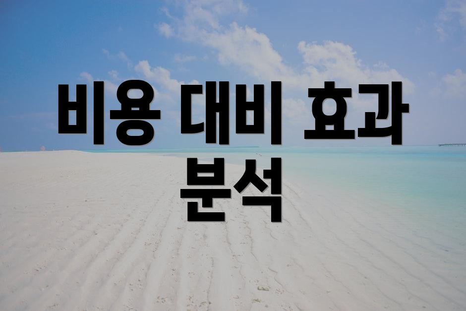 비용 대비 효과 분석