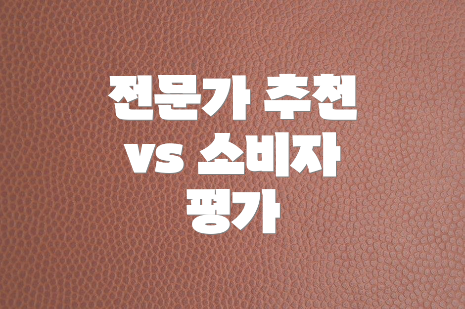 전문가 추천 vs 소비자 평가
