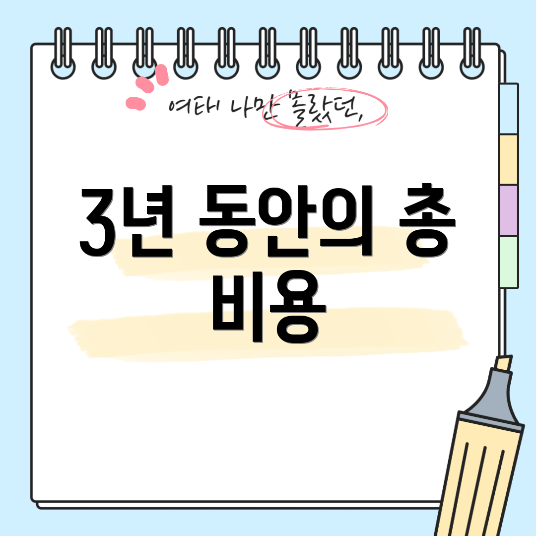 3년 동안의 총 비용