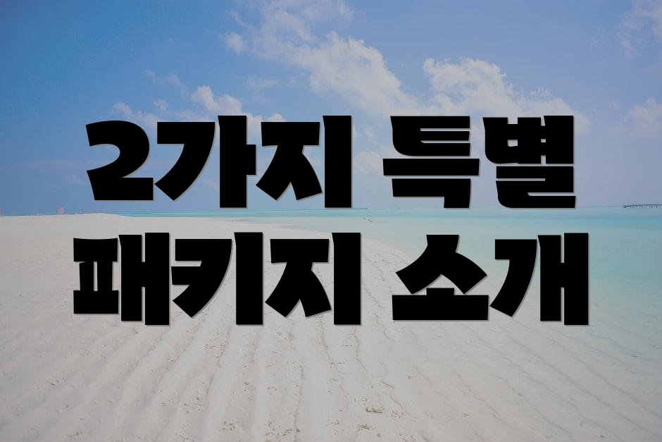 2가지 특별 패키지 소개