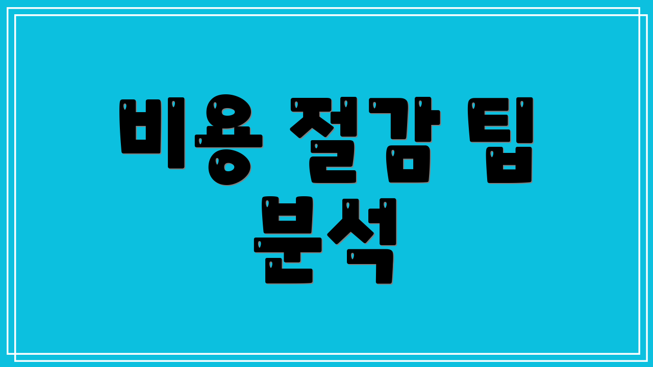 비용 절감 팁 분석