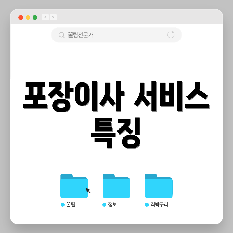 포장이사 서비스 특징