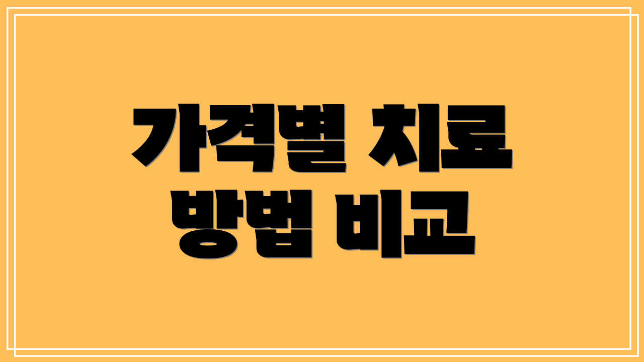 가격별 치료 방법 비교