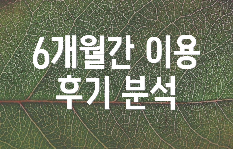 6개월간 이용 후기 분석