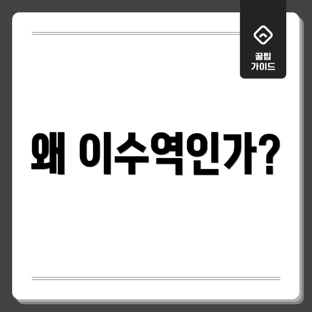 왜 이수역인가?