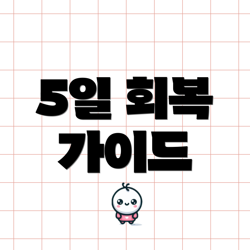 5일 회복 가이드
