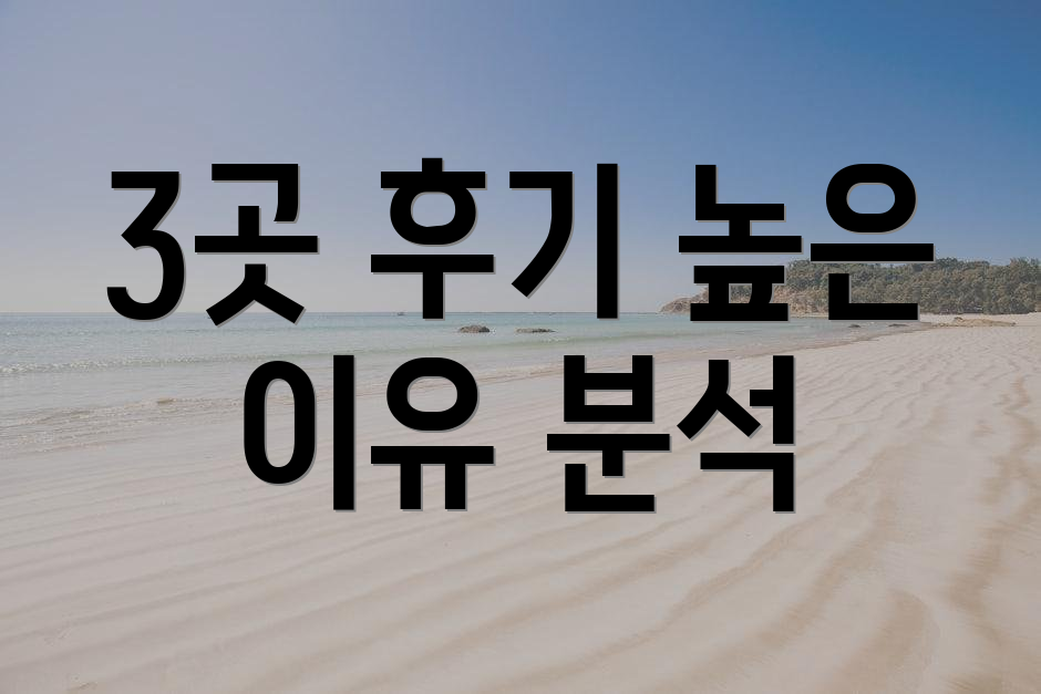 3곳 후기 높은 이유 분석