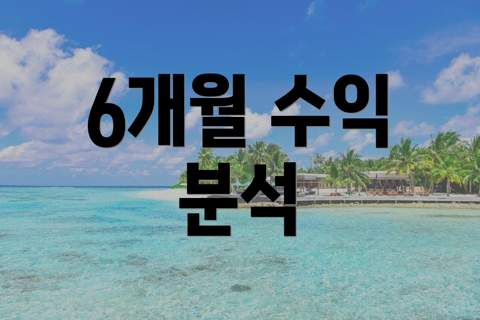 6개월 수익 분석