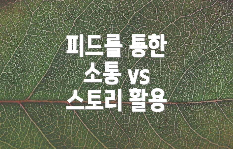 피드를 통한 소통 vs 스토리 활용