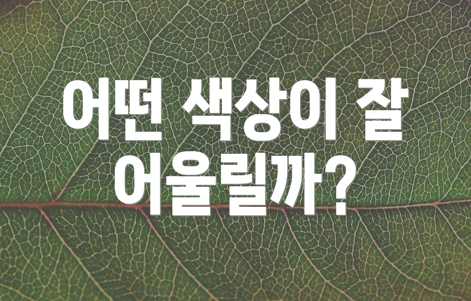 어떤 색상이 잘 어울릴까?