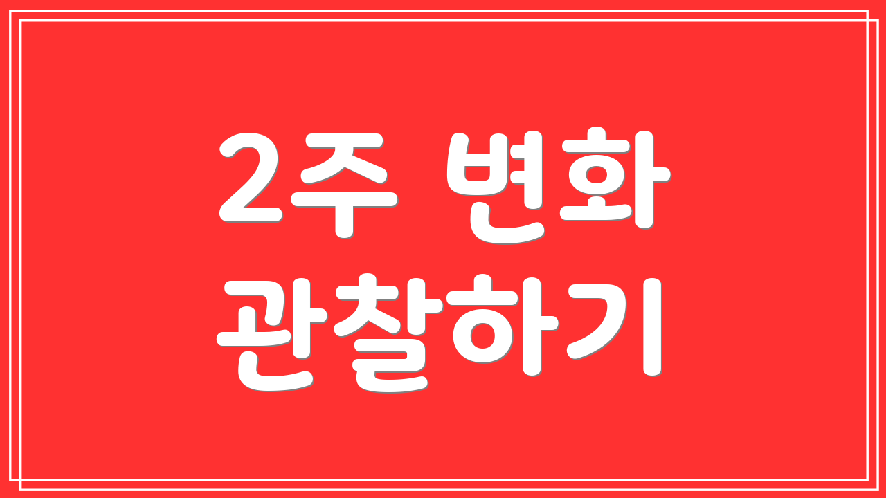 2주 변화 관찰하기