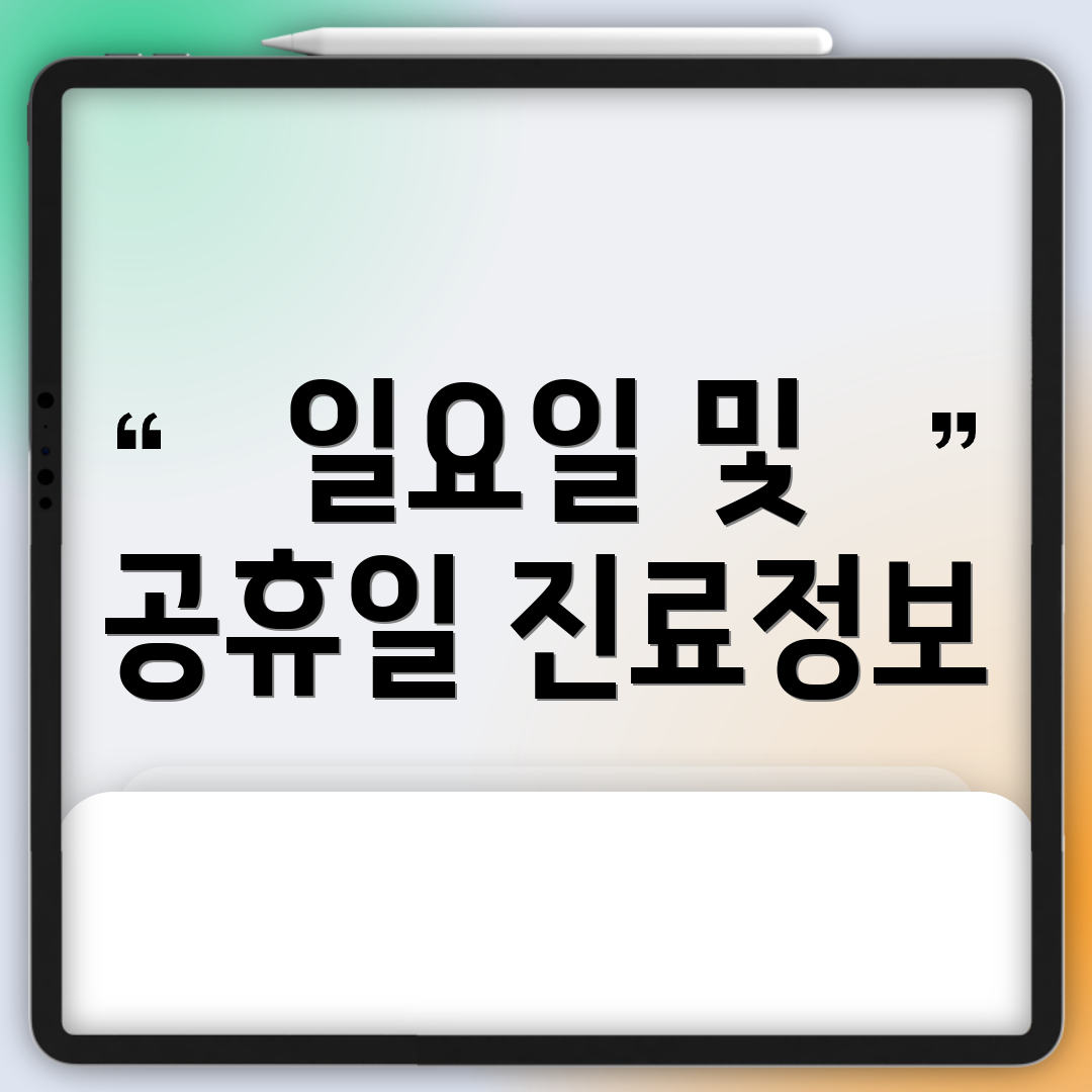 일요일 및 공휴일 진료정보