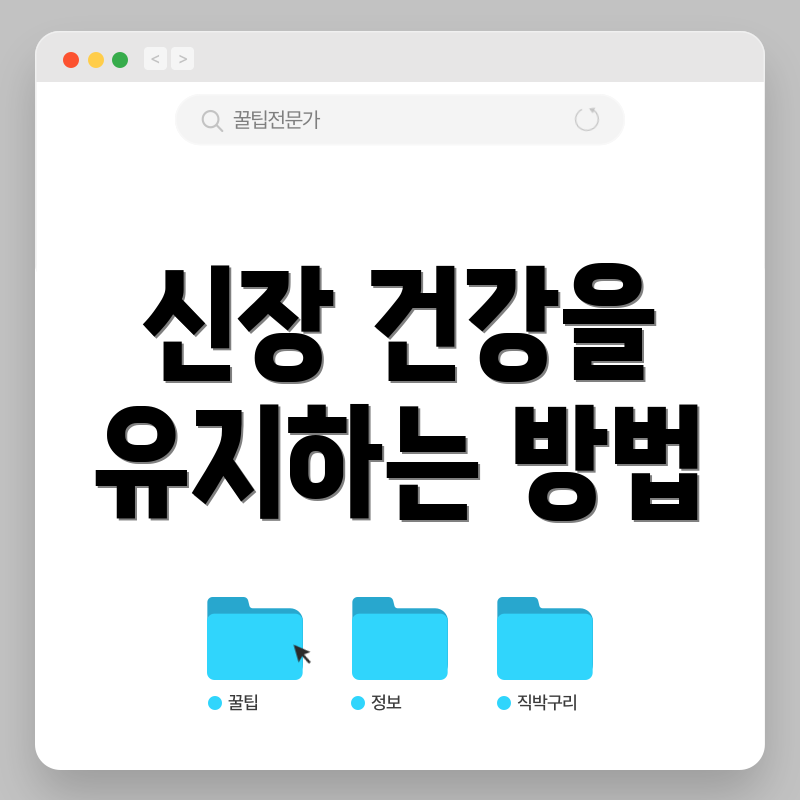 신장 건강을 유지하는 방법
