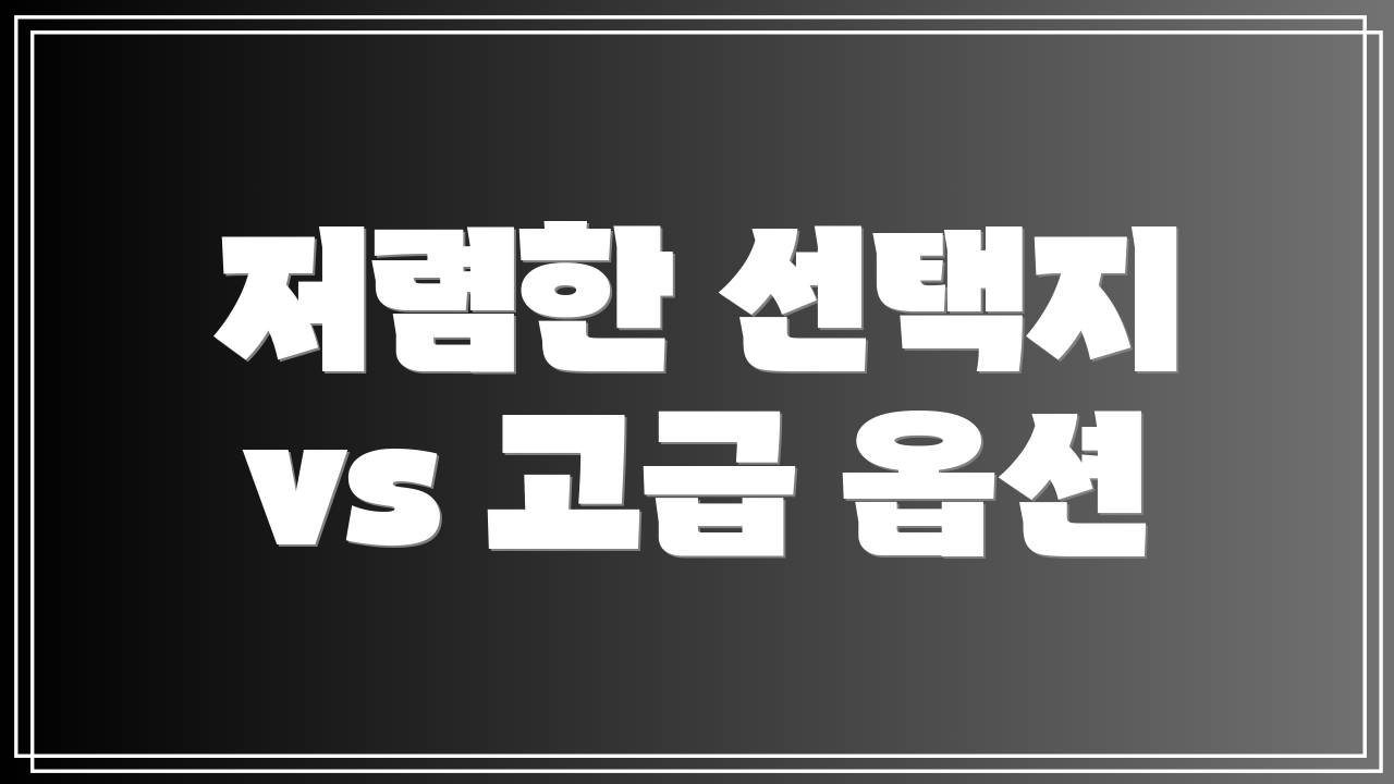 저렴한 선택지 vs 고급 옵션