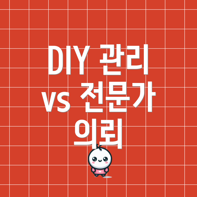 DIY 관리 vs 전문가 의뢰