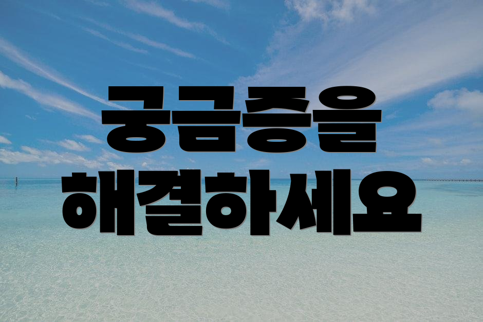 궁금증을 해결하세요