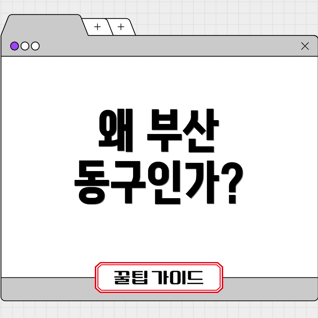 왜 부산 동구인가?