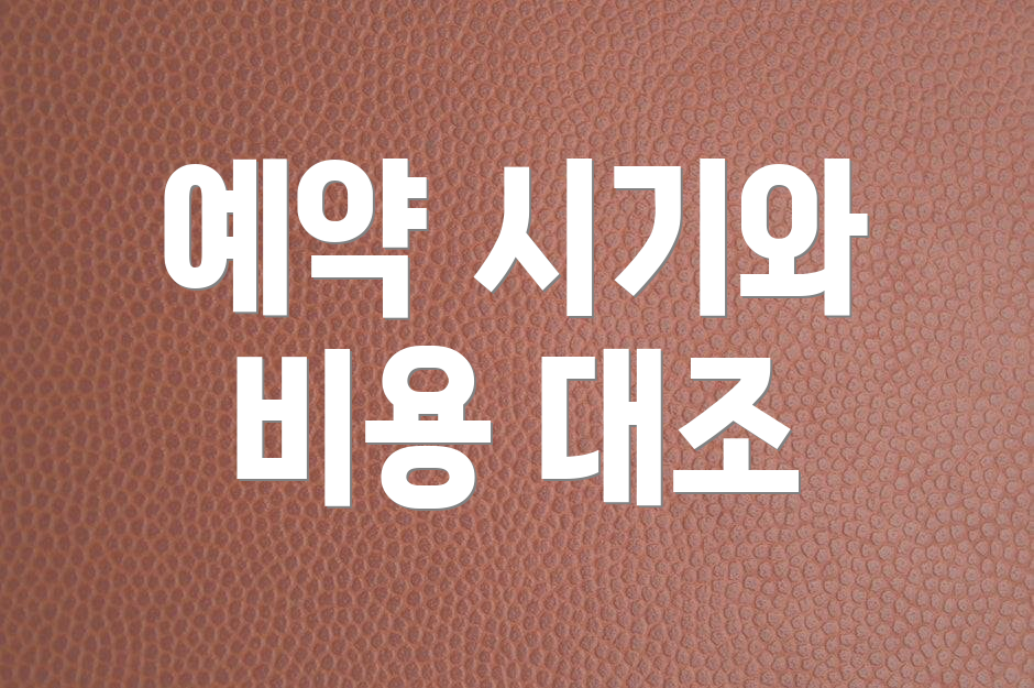예약 시기와 비용 대조