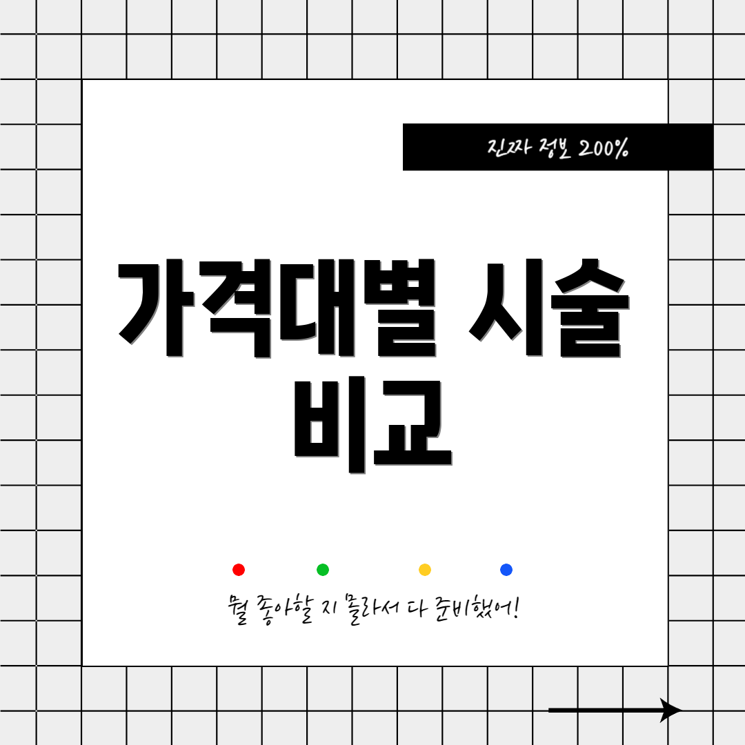 가격대별 시술 비교