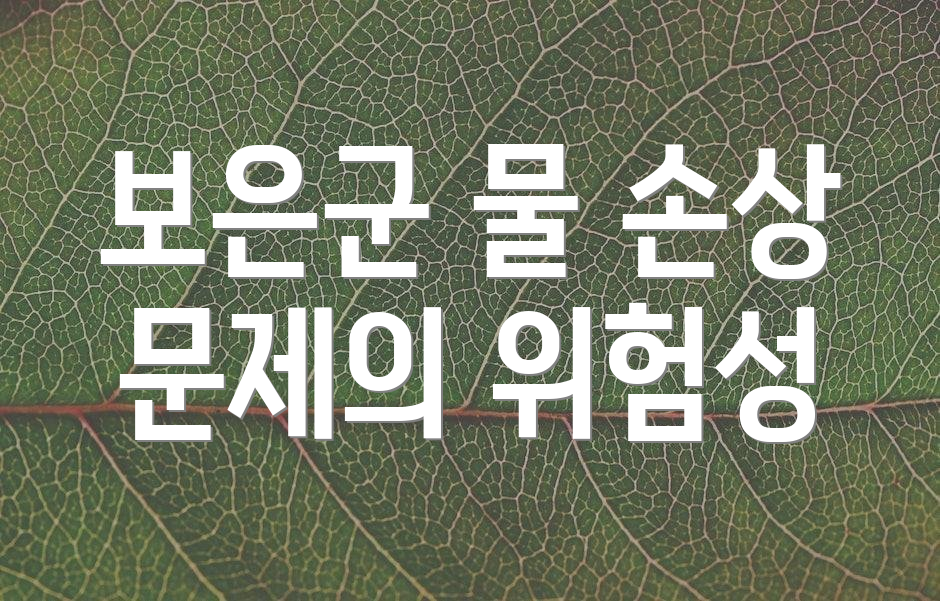 보은군 물 손상 문제의 위험성