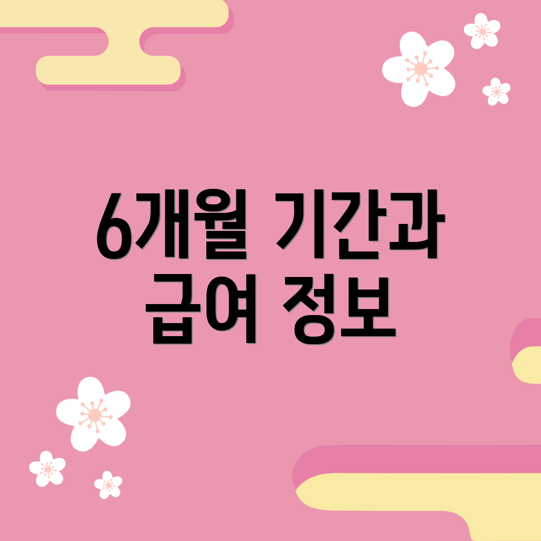 6개월 기간과 급여 정보