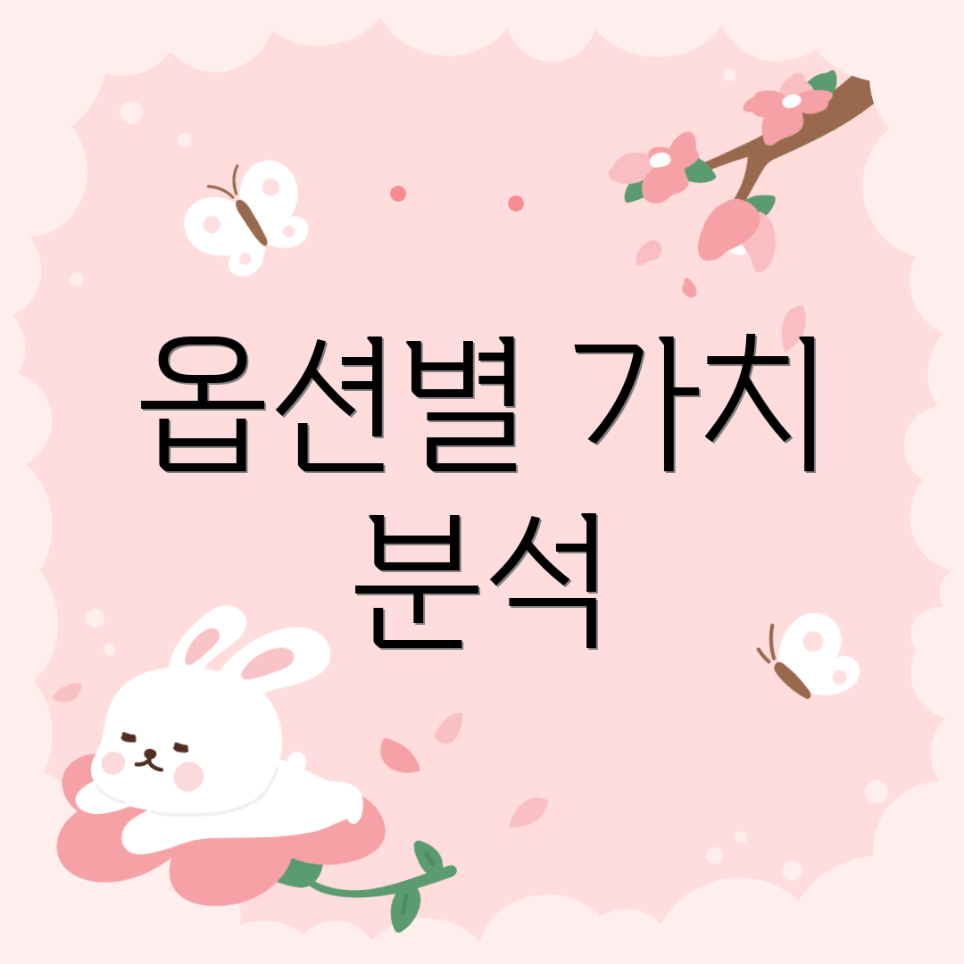 옵션별 가치 분석