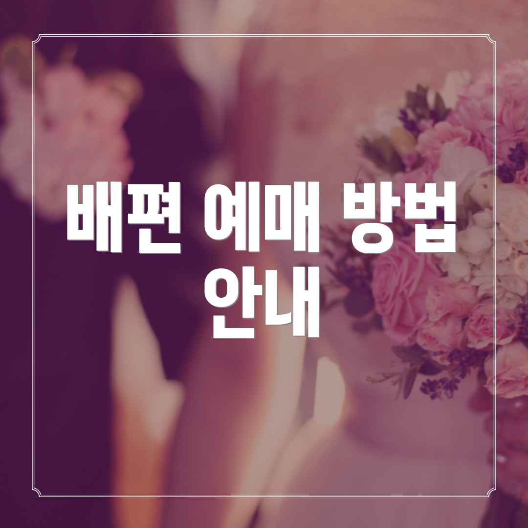 배편 예매 방법 안내