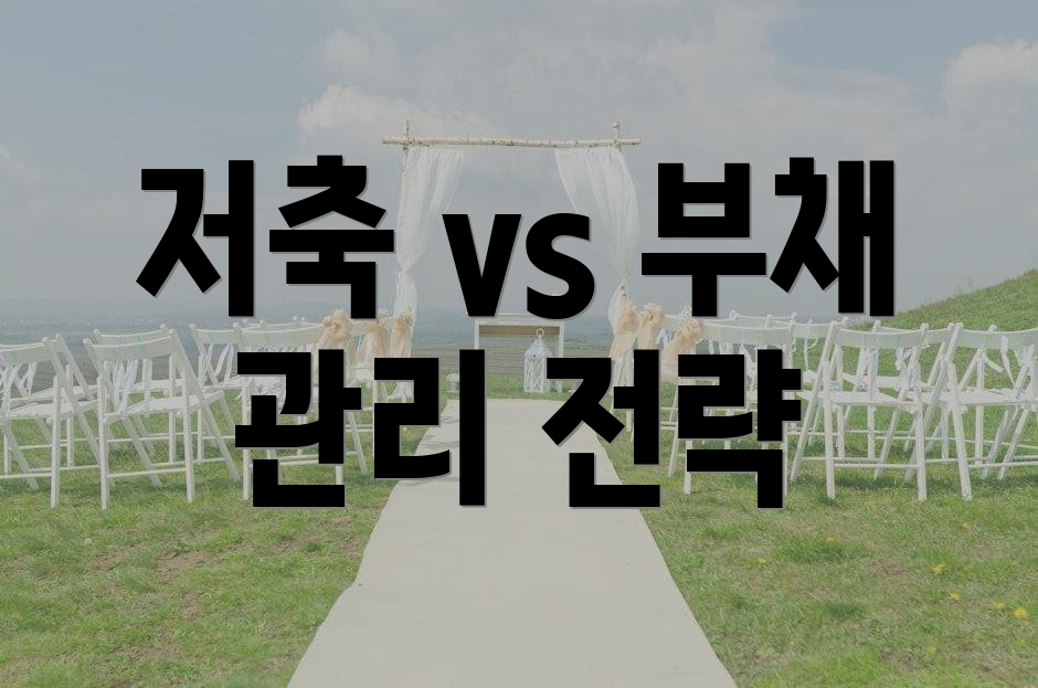 저축 vs 부채 관리 전략