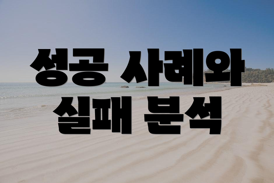 성공 사례와 실패 분석