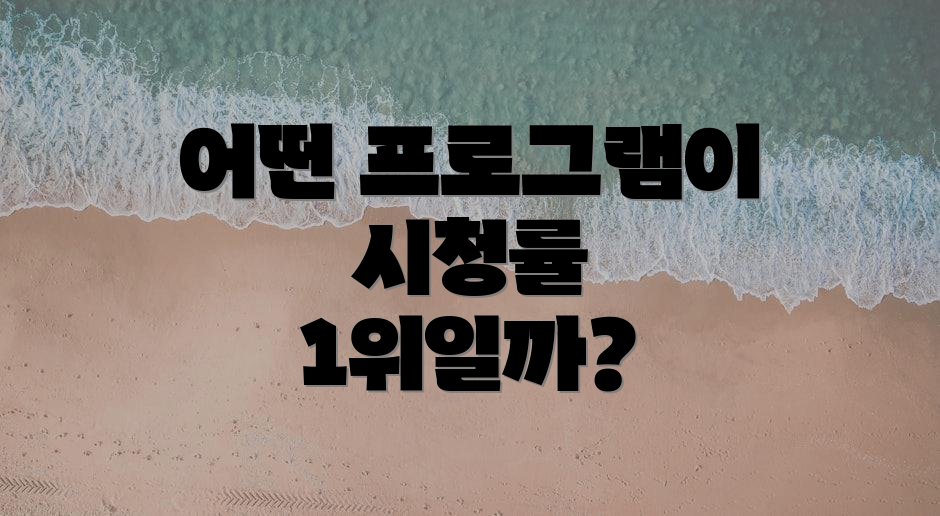 어떤 프로그램이 시청률 1위일까?