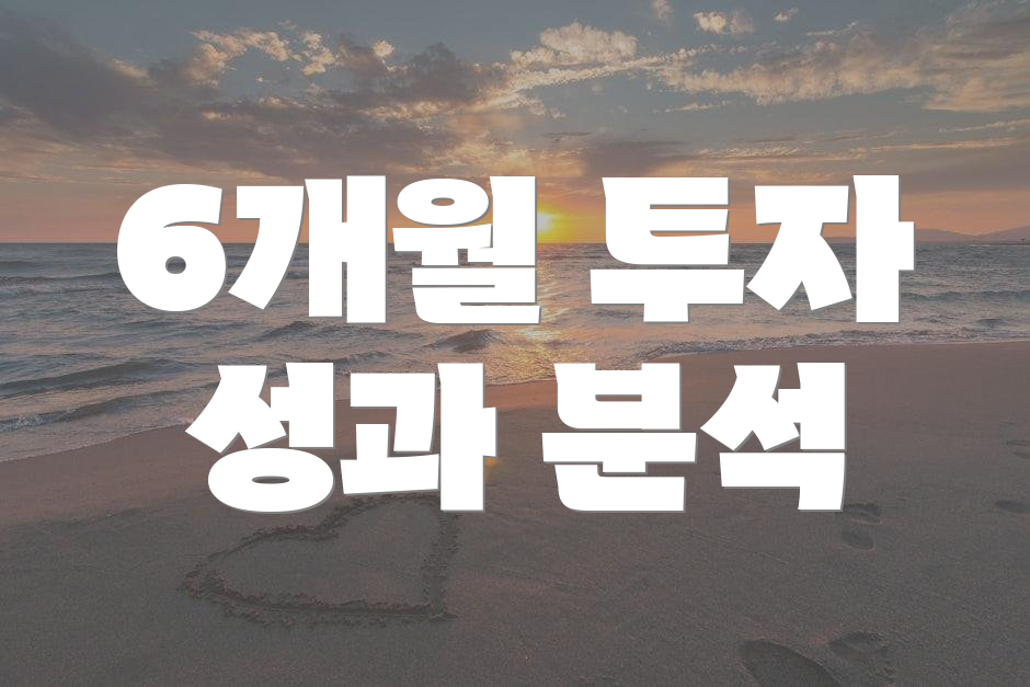 6개월 투자 성과 분석