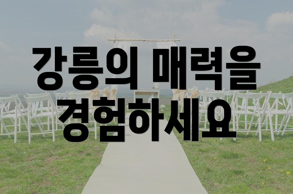 강릉의 매력을 경험하세요