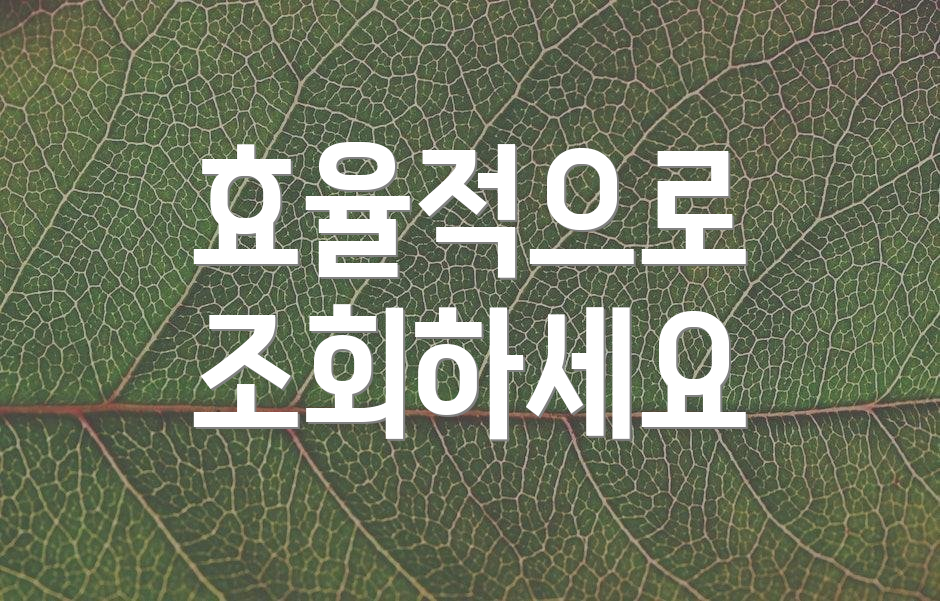 효율적으로 조회하세요