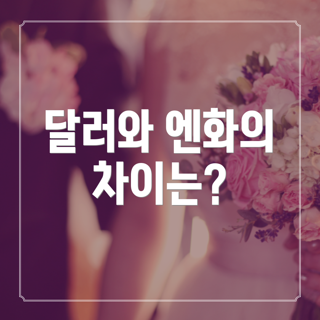 달러와 엔화의 차이는?