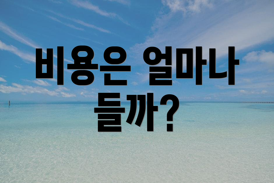 비용은 얼마나 들까?