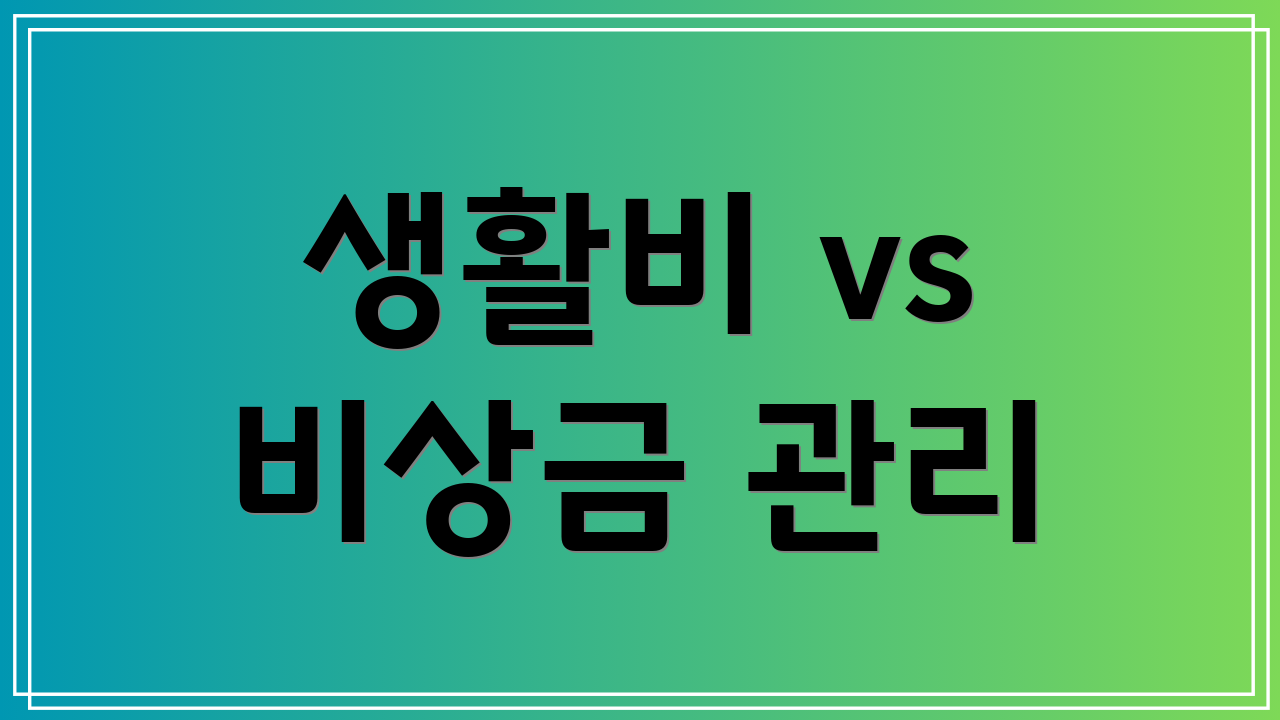 생활비 vs 비상금 관리