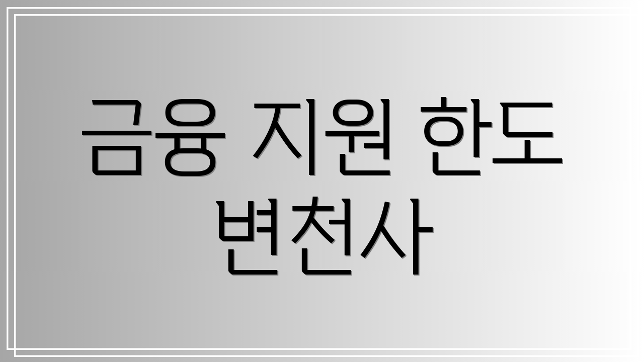 금융 지원 한도 변천사