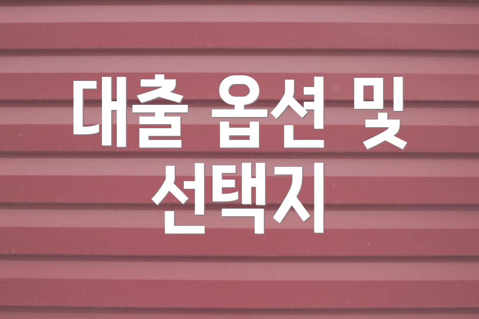 대출 옵션 및 선택지